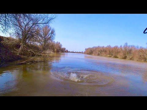 ОН НАПАЛ НА МЕНЯ В ВОДЕ ТАКОЕ ПЕРВЫЙ РАЗ ВИЖУ рыбалка весной на реке