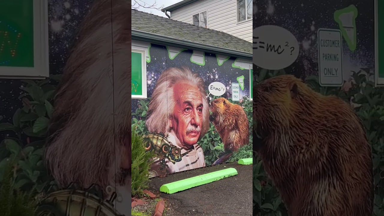 Mr Nice Guy Cause Not All Nice Guys Finish Last -Corvallis Oregon Cannabis Shop 