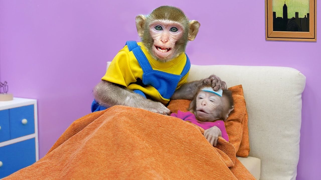 Koko Monkey Helps Mother Take Care Of Sick Naughty Baby | KUDO KOKO ...