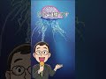 この生物をビーチで見かけたら、近づかないようにしましょう #面白い事実