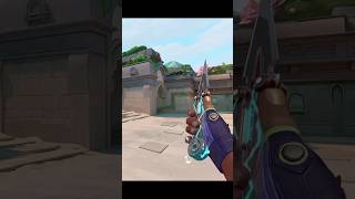 Valorant’ın en iyi kelebeği. #valorant #valo #valorantskins