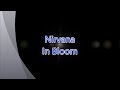 Nirvana-In Bloom (with lyrics)