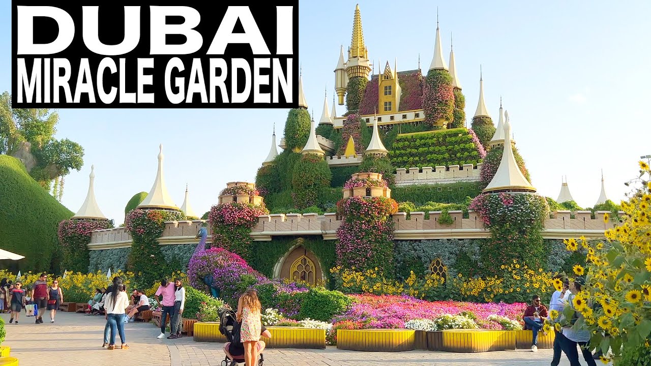 Tour of DUBAI MIRACLE GARDEN | 4K | Dubai Tourist Attraction