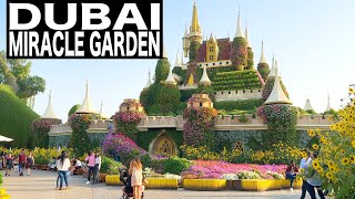 Tour of DUBAI MIRACLE GARDEN | 4K | Dubai Tourist Attraction