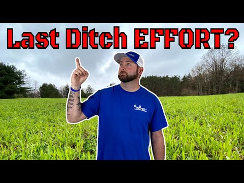 ABSOLUTE Worst Food Plot SEED To Plant!