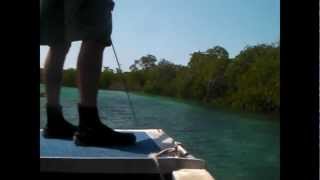 Jewell Reef Trip - Howick Island Visit