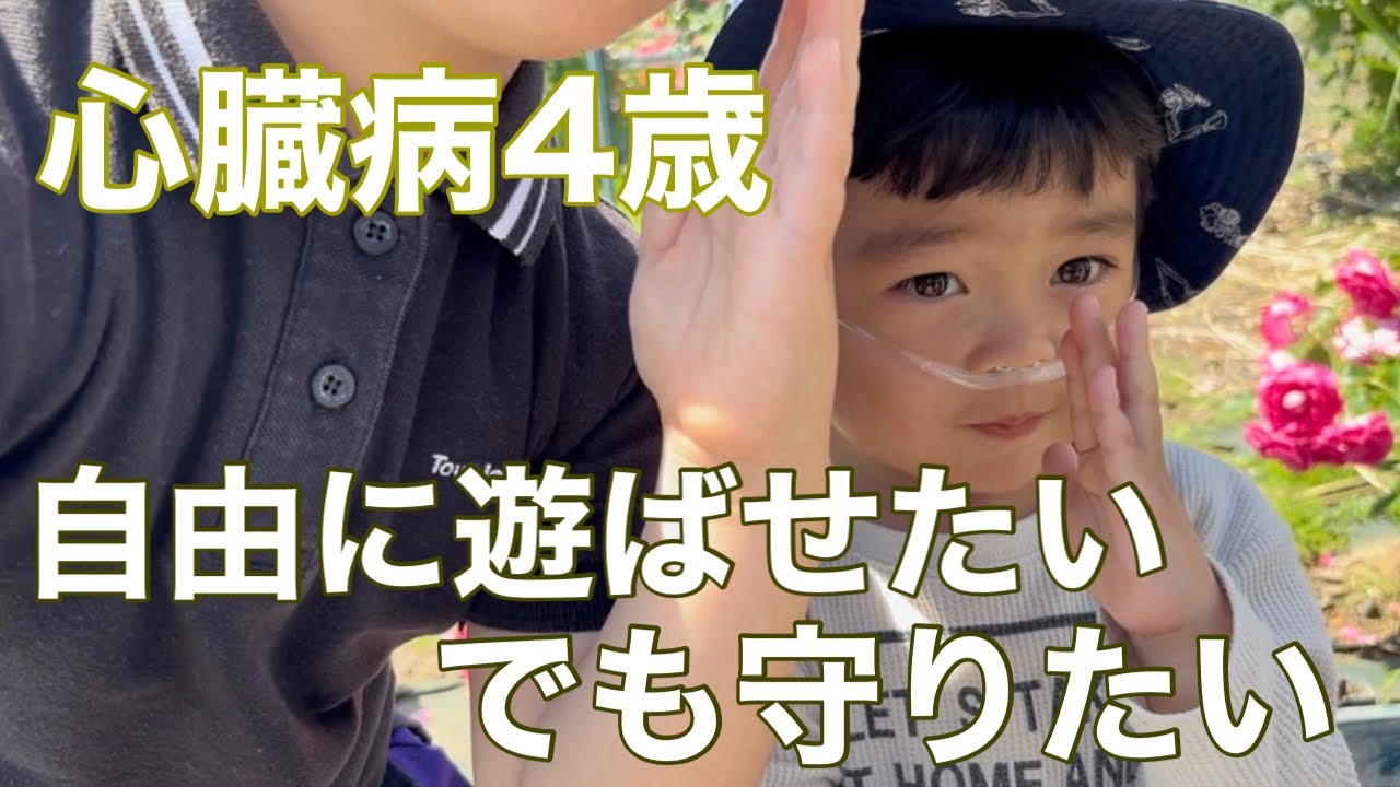 まぶたの赤みで再確認したこと/心臓病ふーくん家族でバラ園へ
