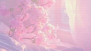 Official Official Introdxlight