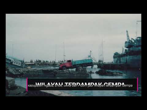 Dahsyatnya Gempa dan Tsunami Flores 1992