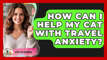 How Can I Help My Cat With Travel Anxiety? - Happy Cat Handbook