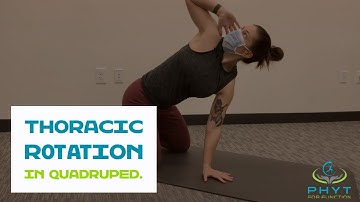 Thoracic Rotation in Quadruped. For mid back, neck, or shoulder pain.