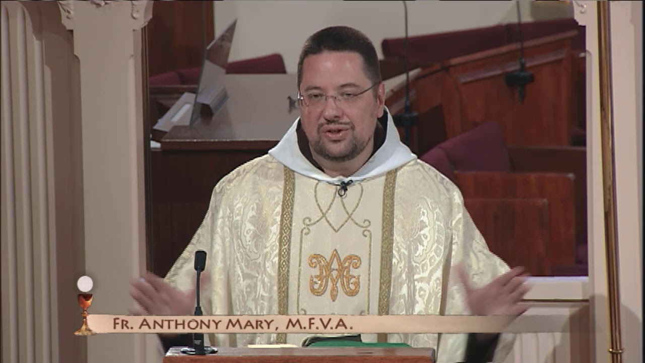 homilia semana da familia Misa Diaria - 2017-12-02 - El P. Anthony