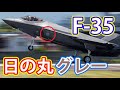 F35戦闘機「日の丸」がグレーに変化！効果のほどは・・・