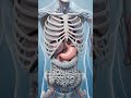 🧊 Cold Water Inside Your Body 💧⚡#health #water #shorts #short video #short viral