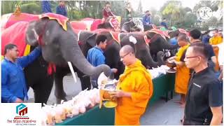 Fole Duk Pai, Hiyoi Npan Suk, Fole Suk Pai Hiyoi Npan Duk,Very Nice Song2021