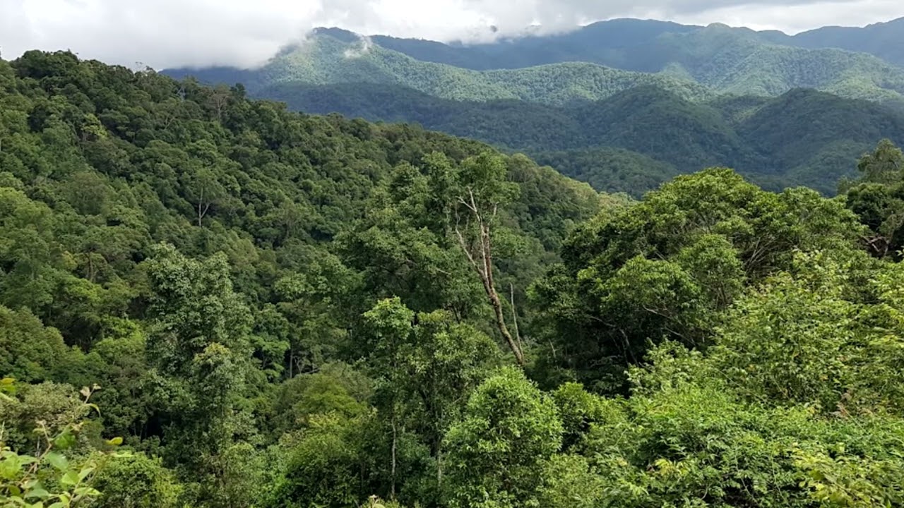 2 TUG TXIV TUB MUS ZOV NPLOOS RAUG TSOV TOM