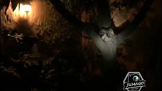 Son Marsupiales Nocturnos Su Adaptabilidad Donde Busca Refugio Y Alimento Desempeña Papel Ecológico