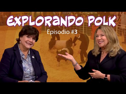 Explorando Polk: Historia de la agricultura y la Feria Juvenil de Polk