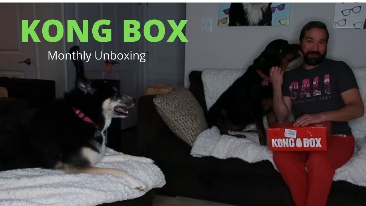KONG BOX | Monthly Subscription for Tough Chewers! | January 2021