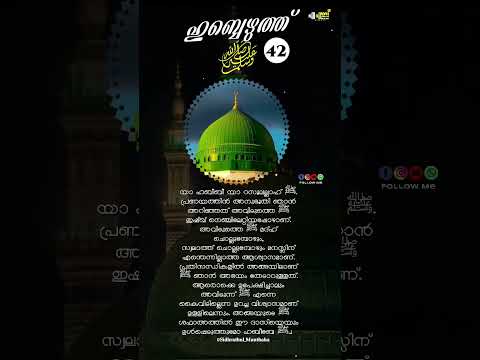 യാ ഹബീബീ യാ റസൂലല്ലാഹ് ﷺ.പ്രണയത്തിൻ അനുഭൂതി ഞാൻ അറിഞ്ഞത് ❤️🥰💚#reels #viral  #shorts