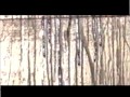 ترنيمة كنيستى القبطية
