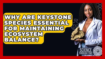 Why Are Keystone Species Essential For Maintaining Ecosystem Balance? - Science Through Time
