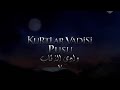 وادي الذئاب الجزء الخامس الحلقة 29 مدبلجة للعربية