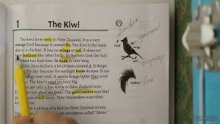 Facts & Figures Ders 1 THE KIWI