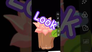kh Chanu subscribe # please