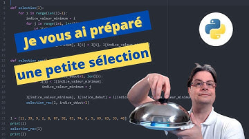 Algorithme de tri : Tri par sélection -  Selection Sort
