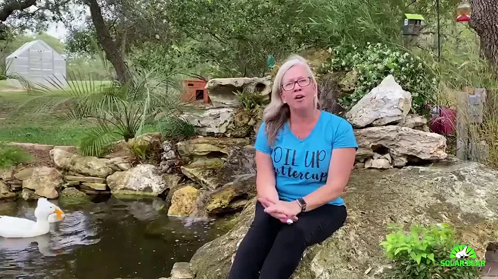 Solar Bear Trustimonial | Amy Michel, Dunnellon Fl...