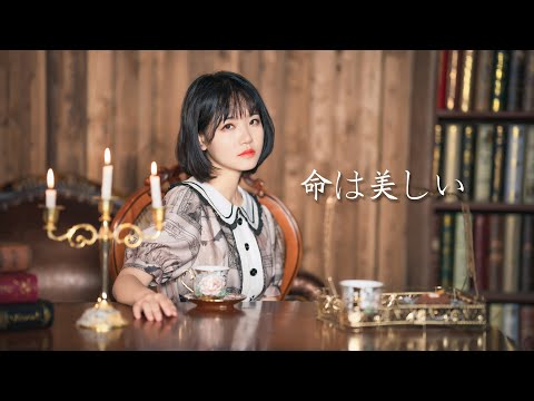 【乃木坂46】命は美しい【踊ってみた】【魔法森林】【翻跳】
