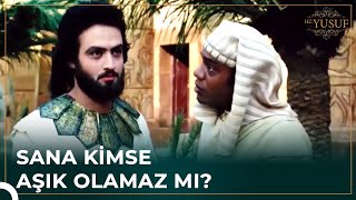 Mimisabunun Fikirleri Hz Yusuf