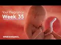 35 weeks pregnant  what to expect