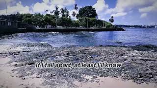 My Own Enemy — Beautiful Decay (Lyric Video)