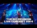 3t  i need you the big reunion live concert 2014