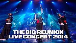 Video thumbnail of "3T - I NEED YOU (THE BIG REUNION LIVE CONCERT 2014)"