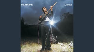 Video thumbnail of "David Garza - Too Much"