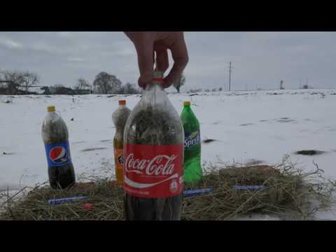 100 mentos IN СLOSED ბოთლი! აფეთქების ექსპერიმენტი?