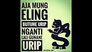 Ojo turu sore kaki||story WA