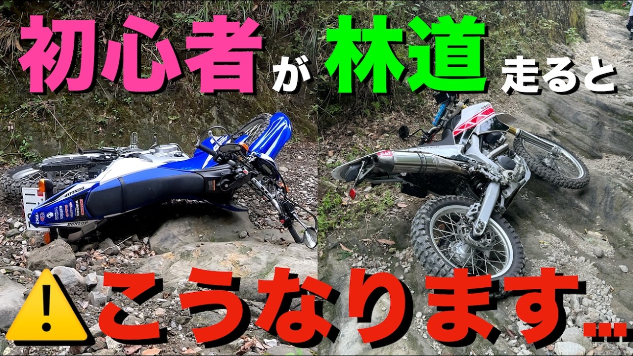 【閲覧注意】WR250R 2台で初林道走ったら、2台共転倒＆破損してしまった！(千葉県南房総 柚ノ木線)！(EP.8)