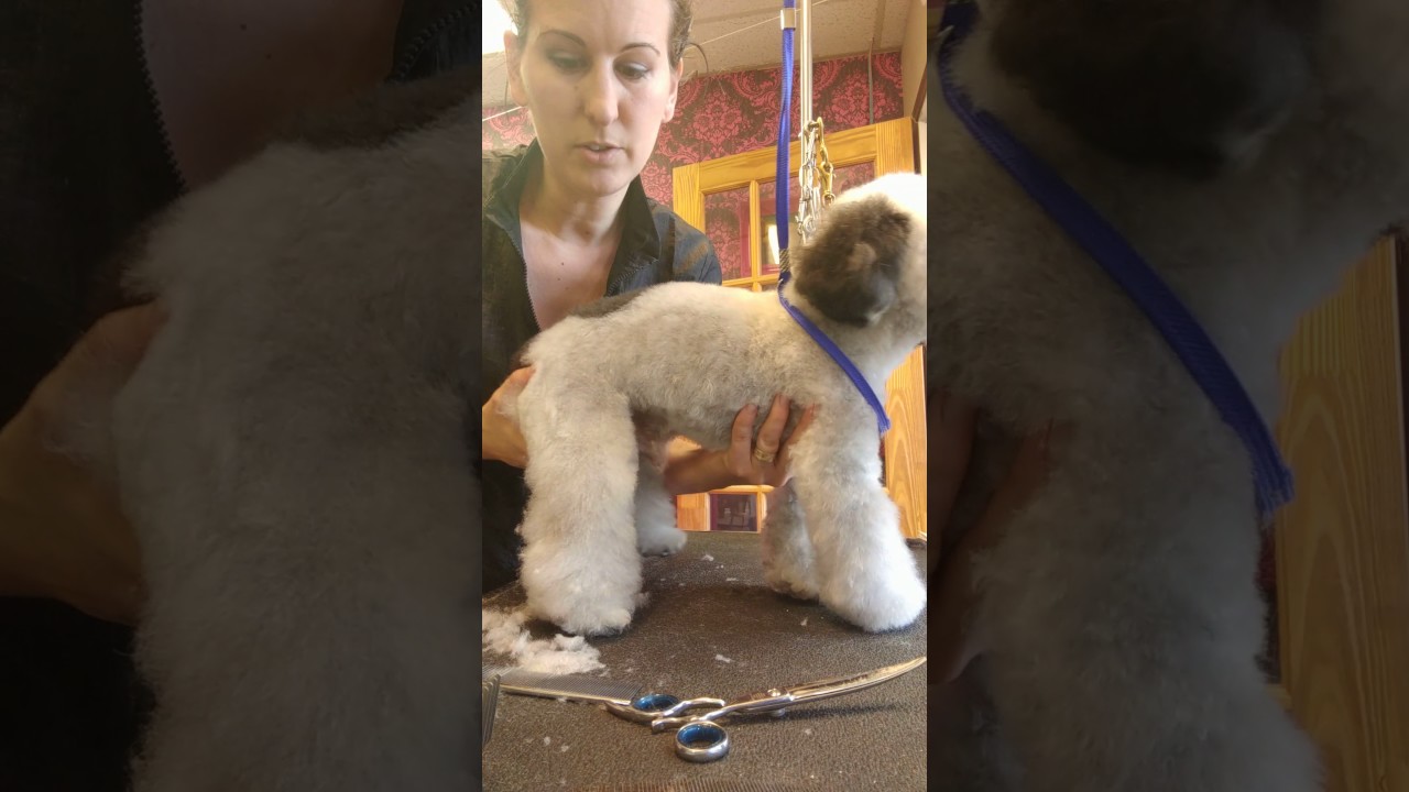 Setting rear legs on tj by ItzaClip