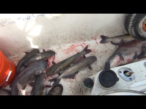 Jug Fishing For Catfish from YouTube · Duration: 1 minutes 2 seconds · 8,000+ views · uploaded on 7/20/2010 · uploaded by Crappie Chris Jug Fishing For Catfish from YouTube · Duration: 1 minutes 2 seconds · 8,000+ views · uploaded on 7/20/2010 · uploaded by Crappie Chris