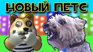 🐾 Новый Петс Михалыч чуть меня не съел, Симулятор Петса в Роблокс, Pet Simulator! 🐾 Новый Петс Михалыч чуть меня не съел, Симулятор Петса в Роблокс, Pet Simulator!