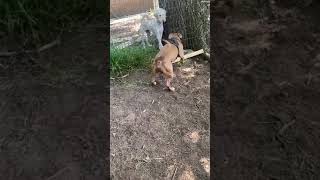 Come Hang Out With Ralph And Athena