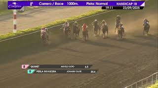 Vidéo de la course PMU PRIX OCEANO MAGICO