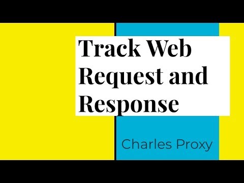 Track the Web HTTP record and response