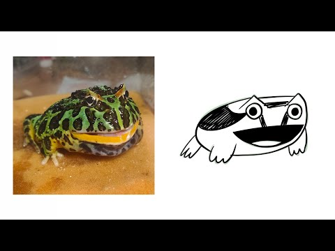 Видео: Рисую свою лягушку пока она не превратится в каракулю