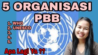 ORGANISASI PBB || DAFTAR 5 LEMBAGA ORGANISASI DI BAWAH NAUNGAN PBB ORGANISASI PBB || DAFTAR 5 LEMBAGA ORGANISASI DI BAWAH NAUNGAN PBB