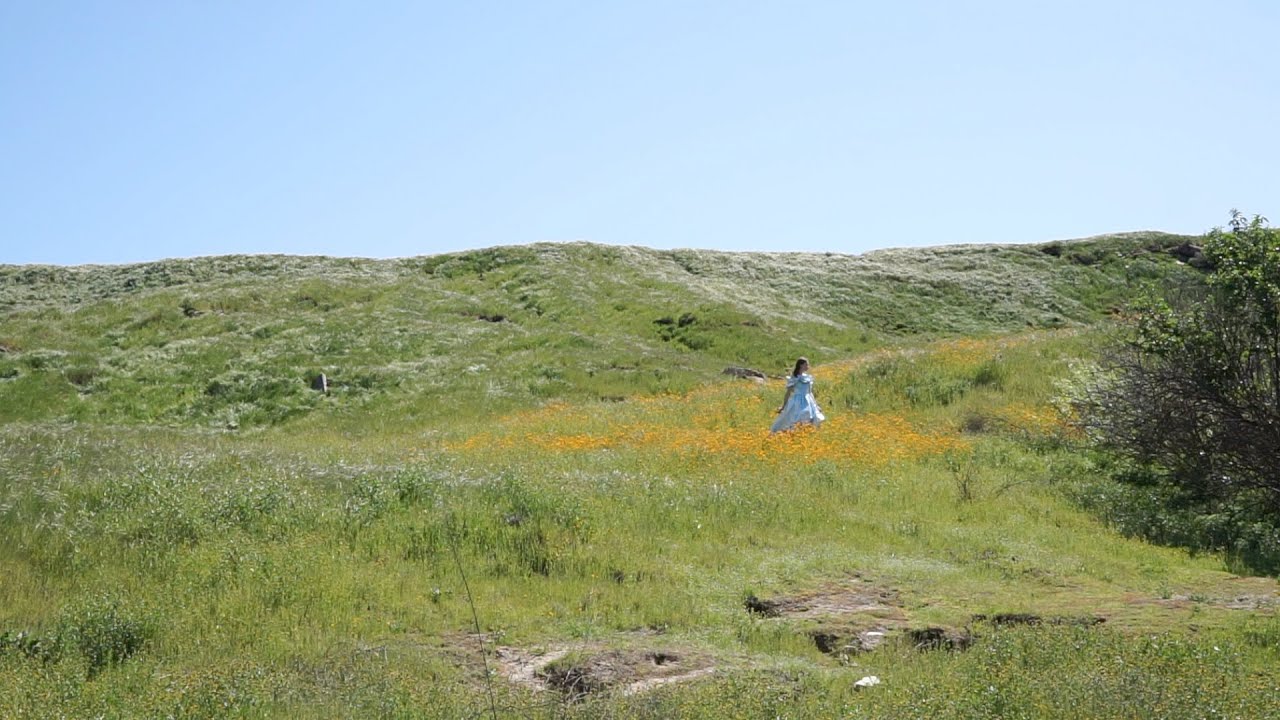 A Letter on Rilke's Letters on Cézanne